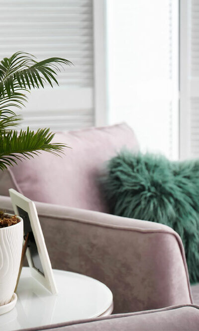 6 toxic plants to keep away from dogs